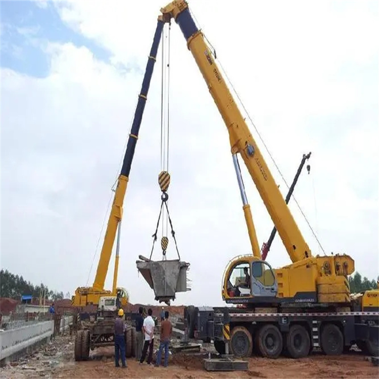 太和小型吊机出租电话|厂房设备吊装方案|24小时服务覆盖